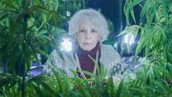 Who plays Sylvie's mother in Emily In Paris